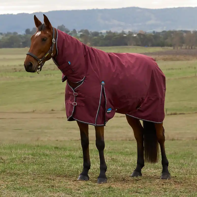 WeatherBeeta ComFiTec Prelim 0G Combo Neck Turnout Rug Burgundy Holiday Sale