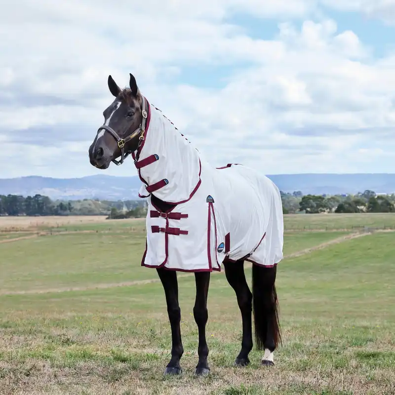 Direct From Factory WeatherBeeta ComFiTec Essential Combo Neck Fly Sheet White/Burgundy