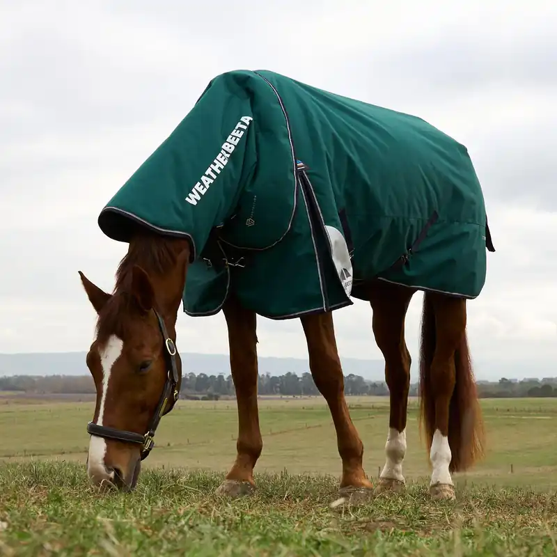 WeatherBeeta ComFiTec Plus Dynamic Detach-A-Neck 100g Forest Green/Navy New Arrival