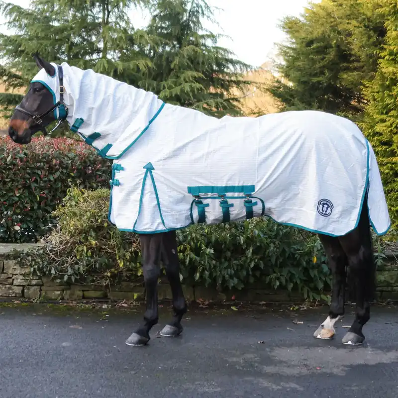In Demand Royal Scot Original Sweet Itch Rug