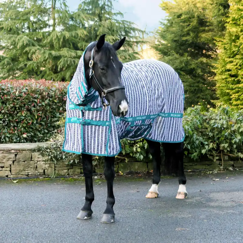 Royal Scot Original Zebra Stripe Fly Rug Premium